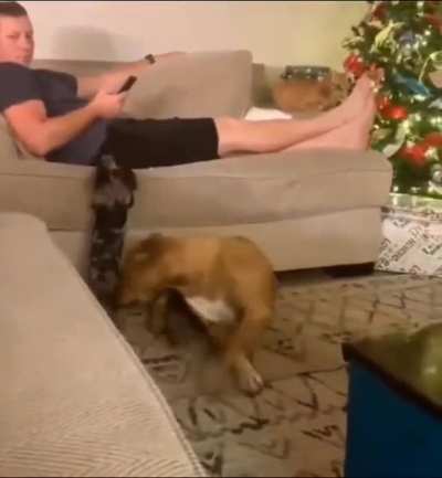 I got you little buddy.