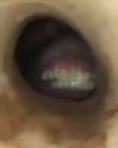 Cursed_pov