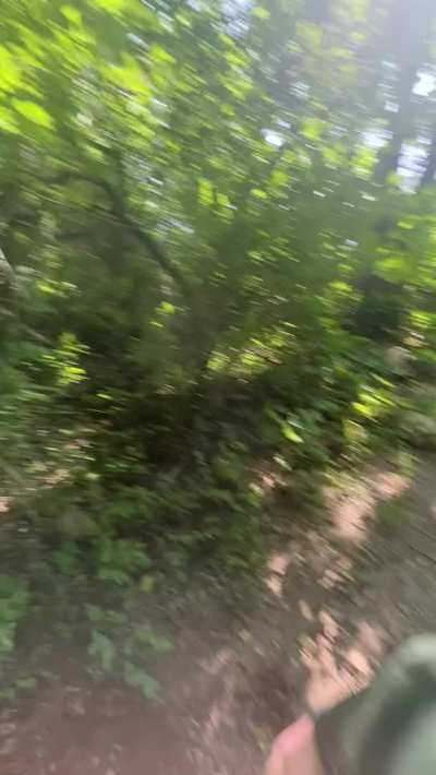 fun during hike