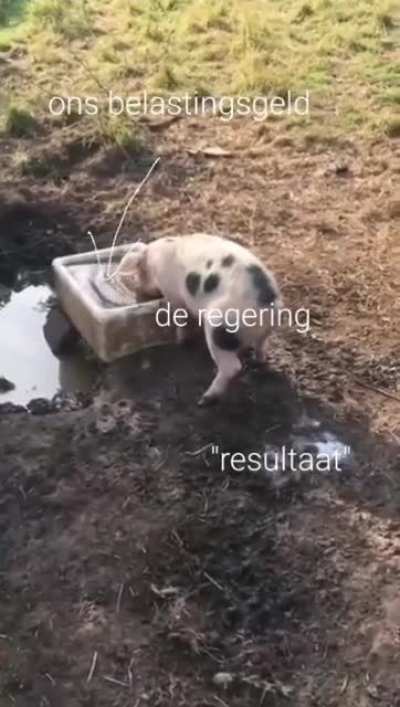 I tried
