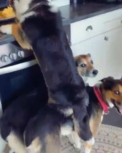 Partners in crime