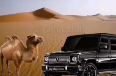 Mami durur mu yapıstırmış cevabı.