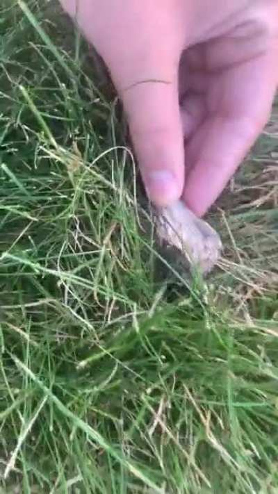 If you flick it at me
