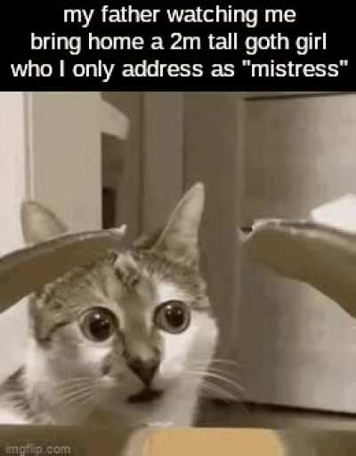 Losercity cat