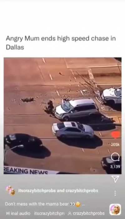 An angry mom ends a high speed chase