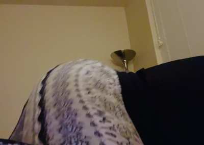 i&rsquo;m addicted to shaking my ass 