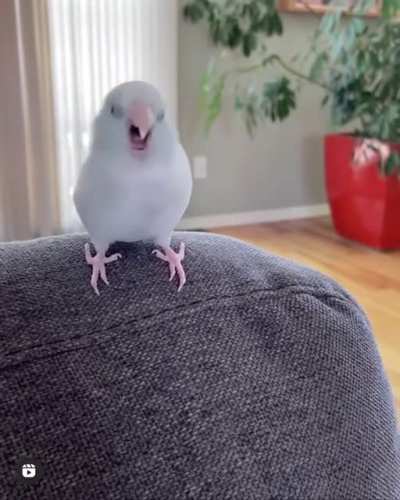 Just wiggle a bit