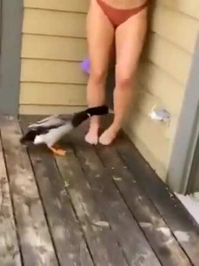 AAAAAAAAAAAA