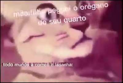 KkKkK