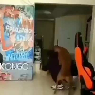 Upa🥵