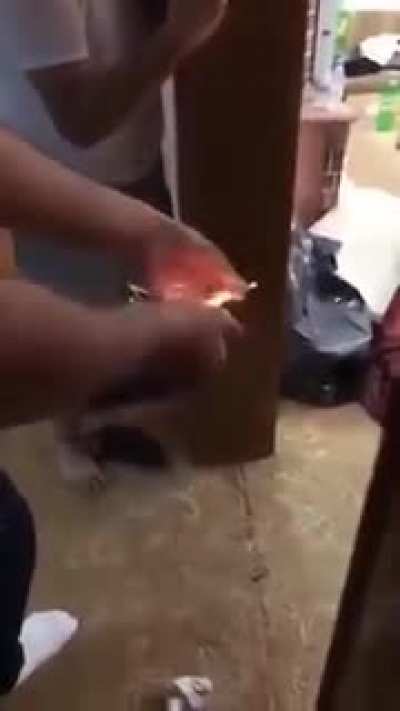 pain in the ass