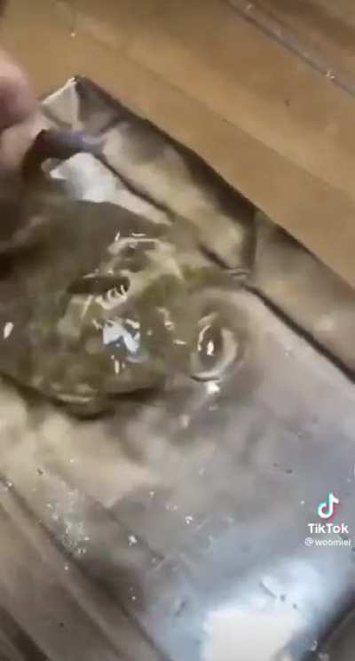 Bath time