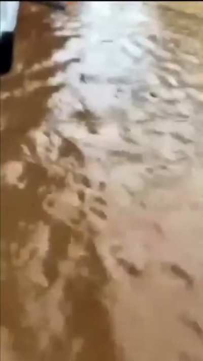 飞翔的荷兰海盗