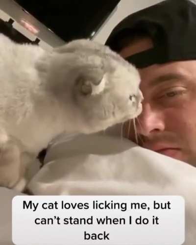 That scream at the end tho..