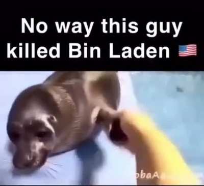 Underestimated Wunk