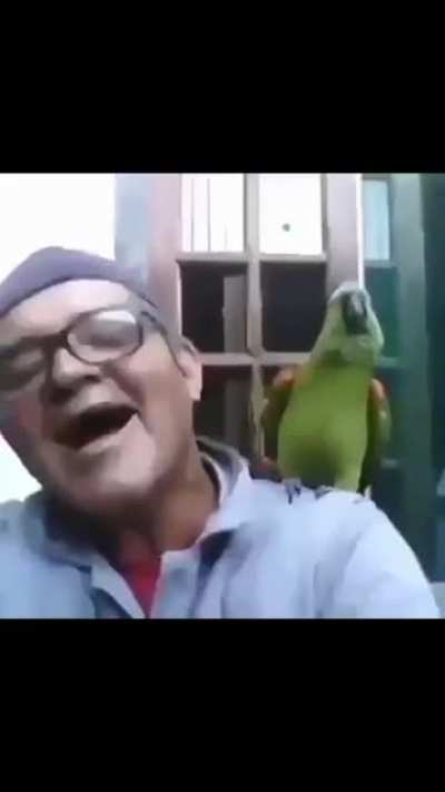 Aa HAHAHA&hellip;. AAAAAAAA