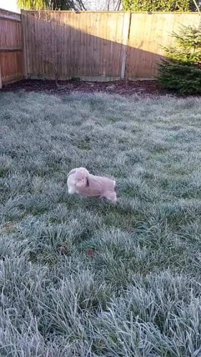 And for his next trick, Kevin is going to attempt to disappear!