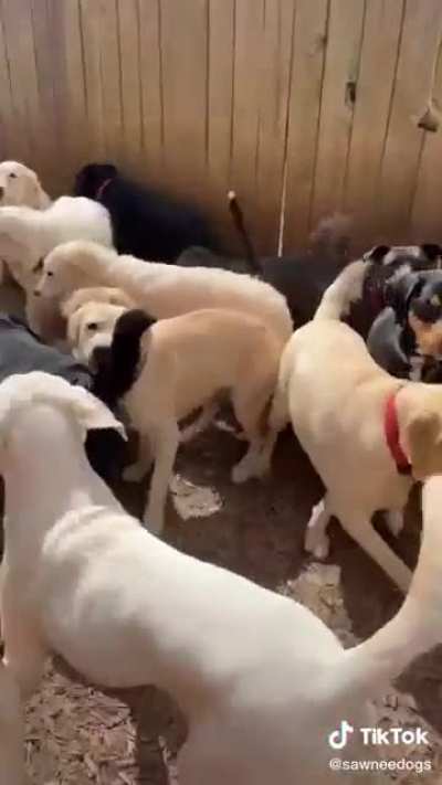 I imagine this is what it's like to walk through the Pearly Gates.
