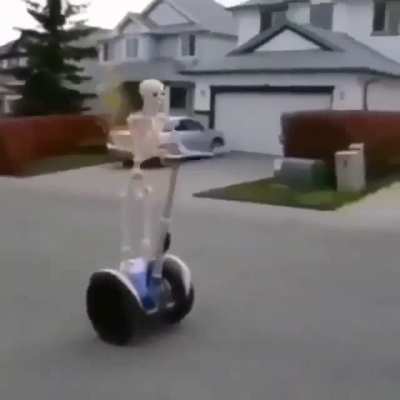 Zi