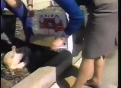 Pinky the Cat.