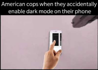 This meme is not dark mode friendly.