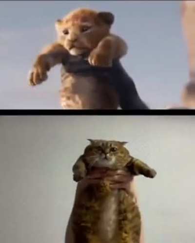 Lion King