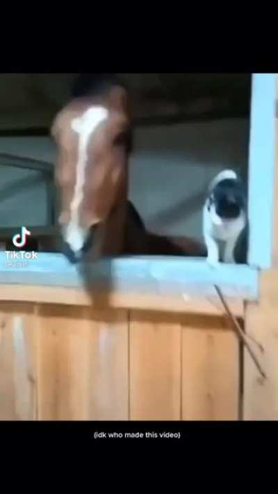 He just wanted to kiss