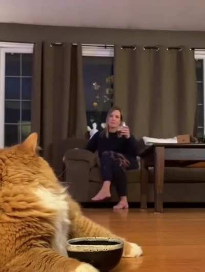 Maybe you haven&rsquo;t noticed my bowl is empty