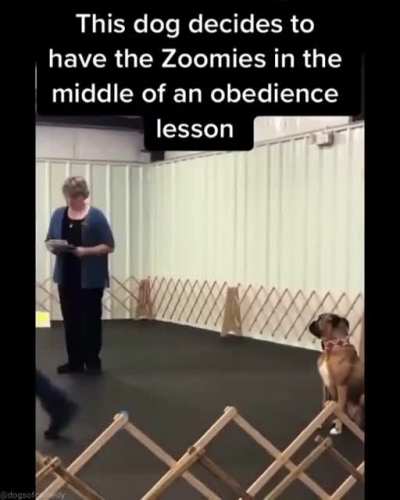 To stand still