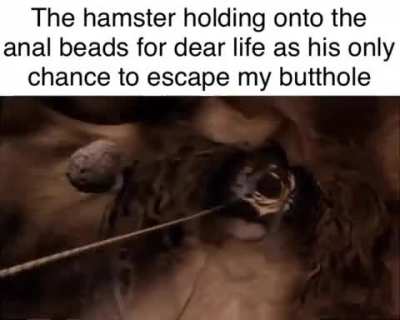 Never give up