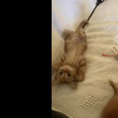 I actually can&rsquo;t with this level of cuteness.