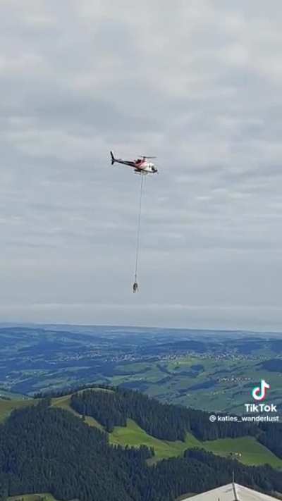 Switzerland&rsquo;s ill cow transportation to the vet.