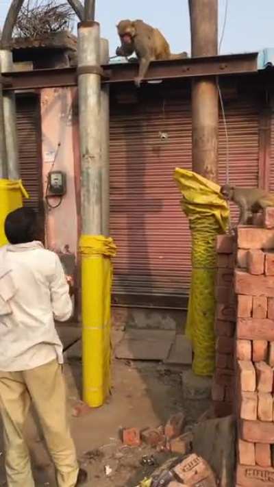 Monk&egrave; Barter System