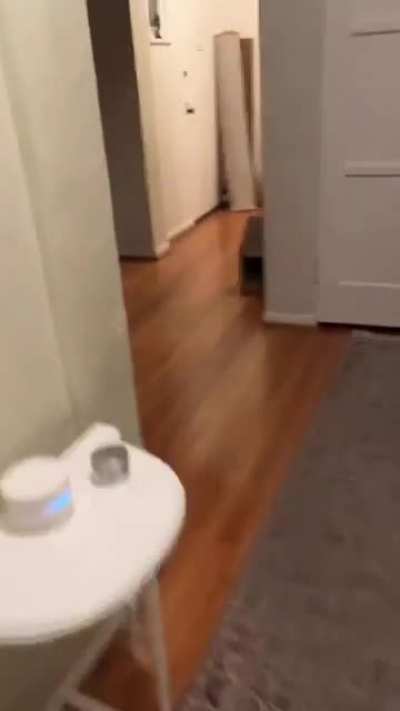nggaaaaaa-
