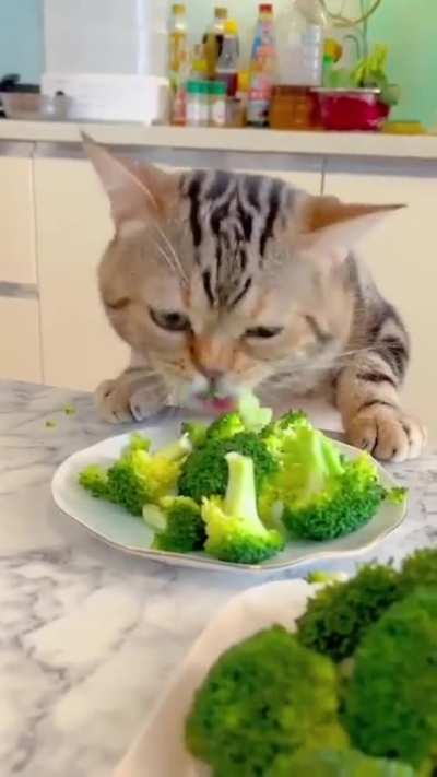 Vegetable vitamins