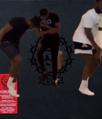HOLY FUCKING SHIT I DIDNT KNOW THERE WAS AN ALTERNATE VERSION OF LOS , THANKS u/potatoberserker