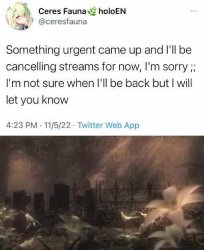 Saplings rn