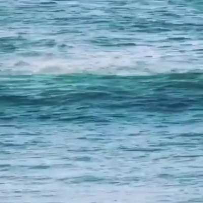 To surf