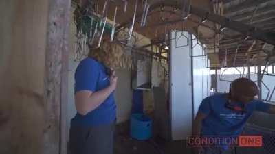 Vegans invade a duck factory farm and lock themselves by the neck to the machinery, almost get choked or decapitated in the process