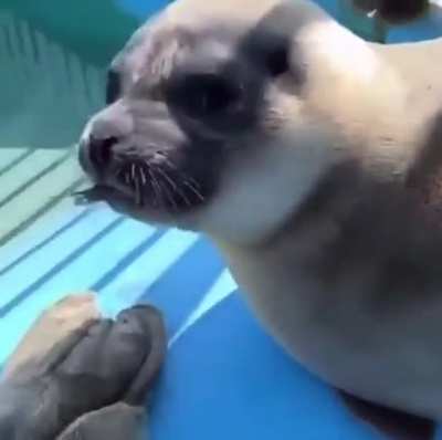 "Thanks for the feeeesh!"