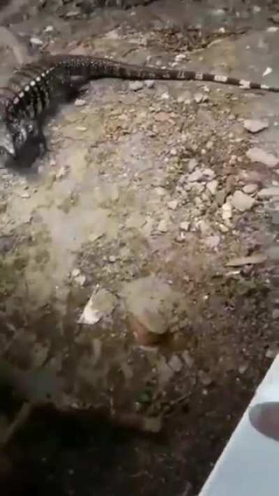 😱😱