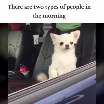 Which one are you?