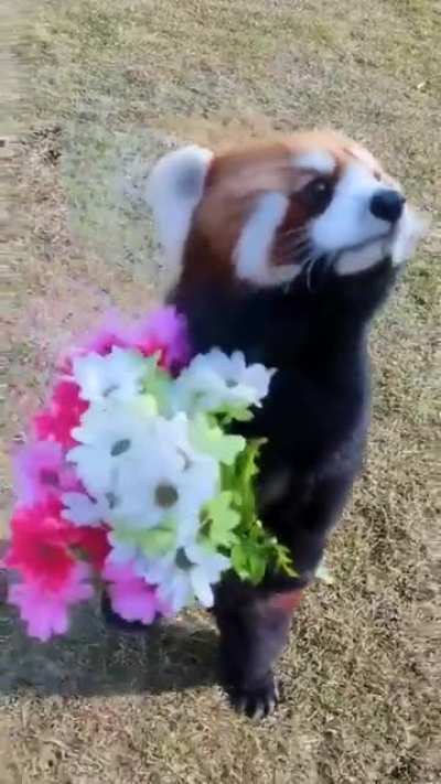 Be my valentine?