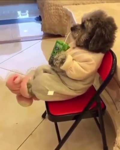 eee cute vid