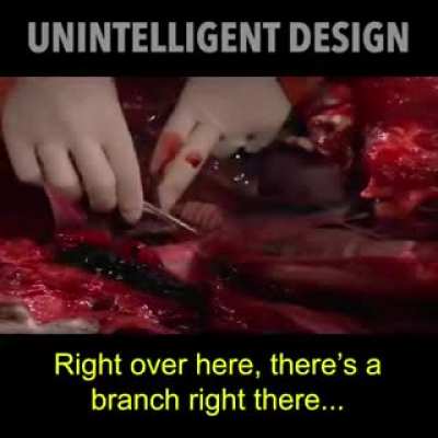 God is a bad Engineer !