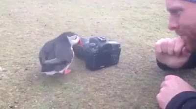 Photography sure is difficult.