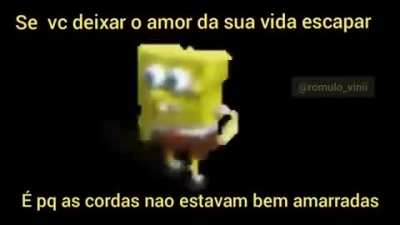 Olhe o seu por&atilde;o amigo👍