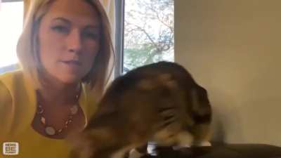 "For a lot of people the best part of quarantine is staying home with your pets all day."