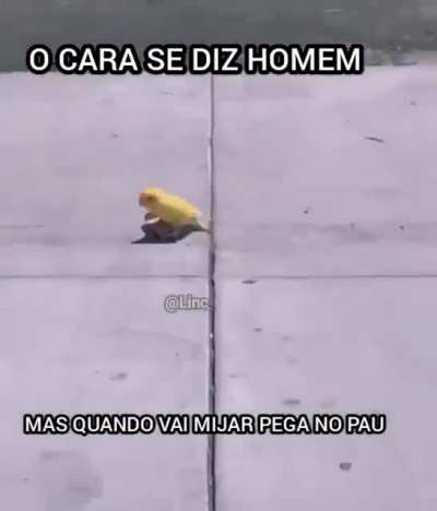 foda