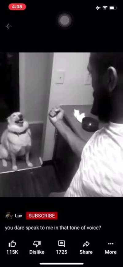 Abrupt_bork